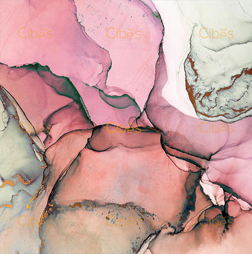 紅粉珊瑚背景墻定制家用電梯