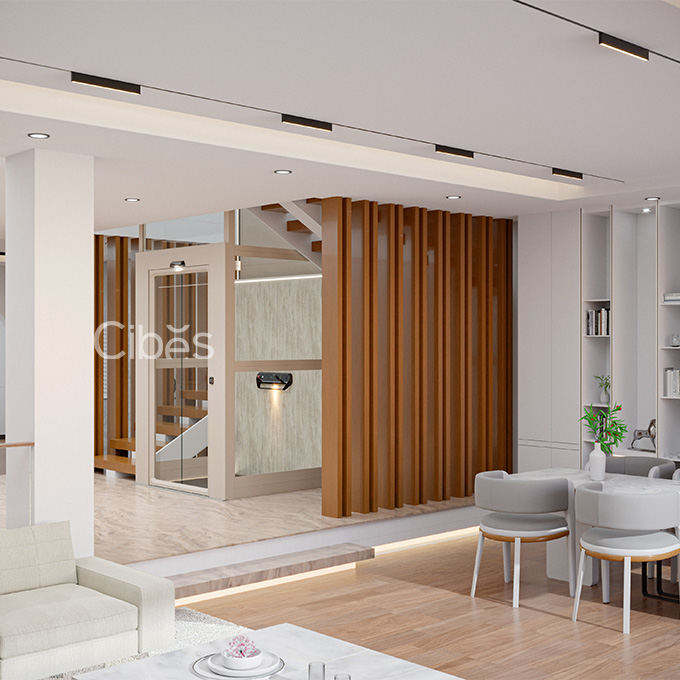 S85 高背板平臺式家用電梯