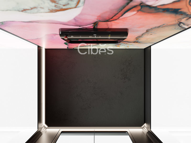 s85時尚版家用電梯地墊