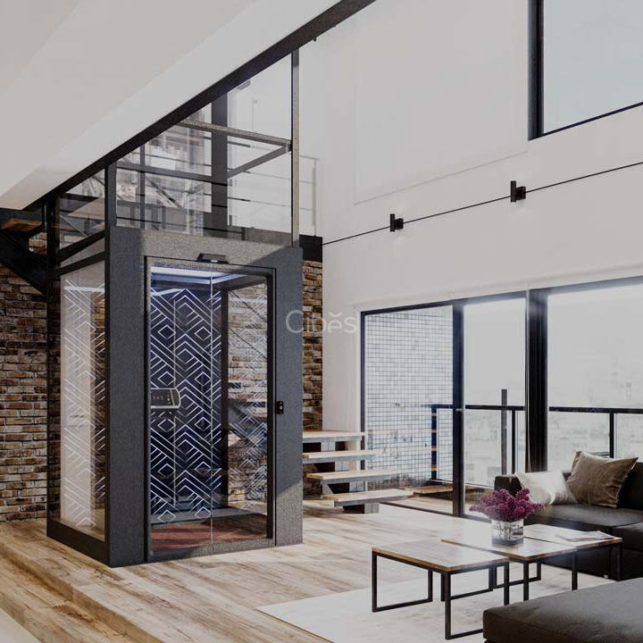 自帶一體化井道豪華版轎廂電梯