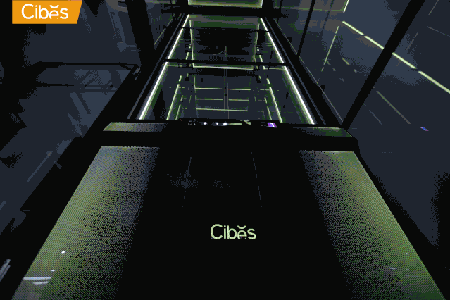 Cibes星際版本V80系列家用電梯