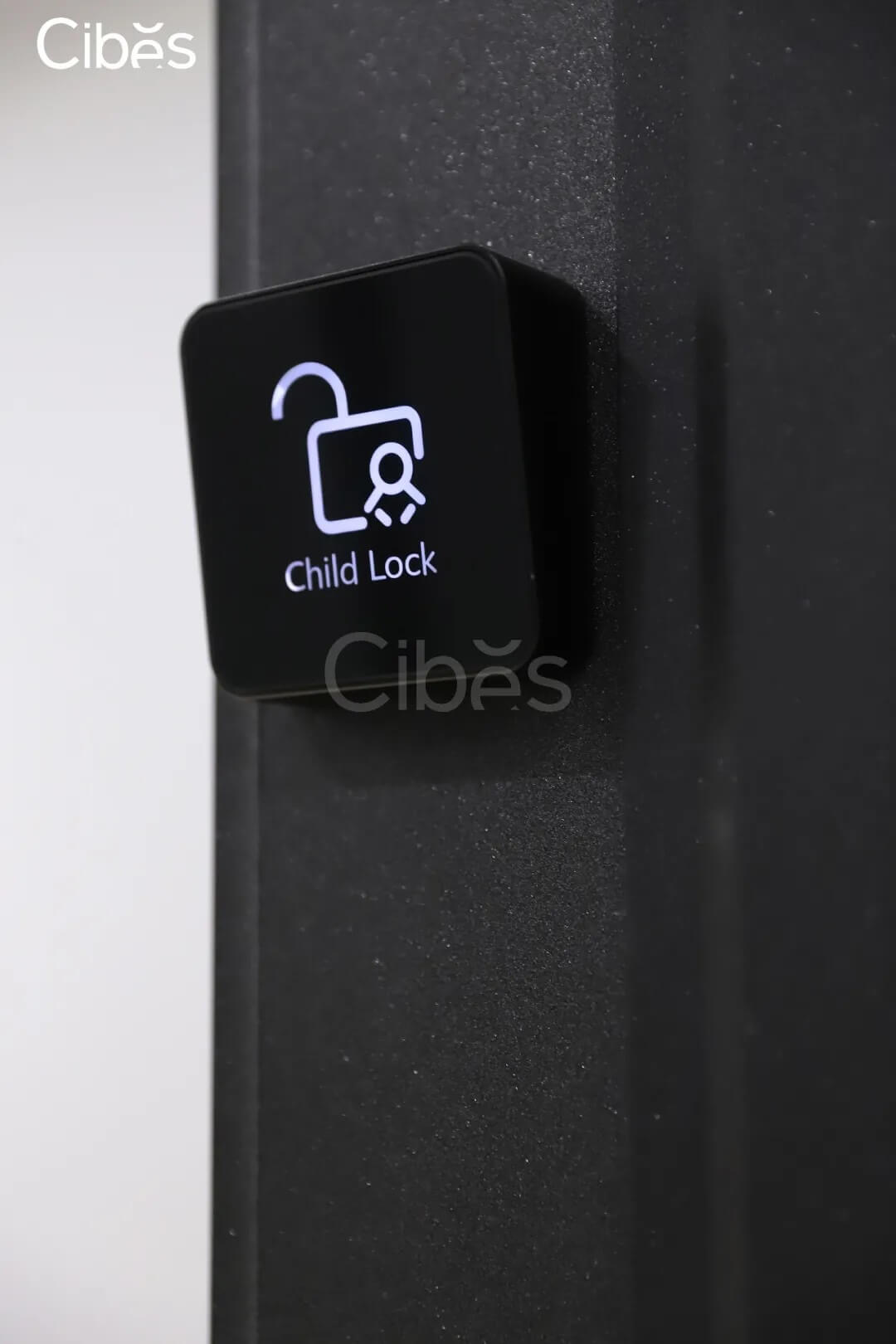 Cibes別墅電梯-自帶安全鎖功能-圖3