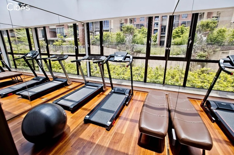 Cibes別墅電梯-廣州安裝案例