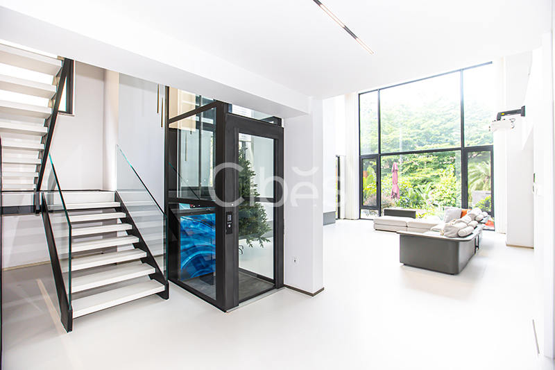 家用別墅螺桿小型電梯