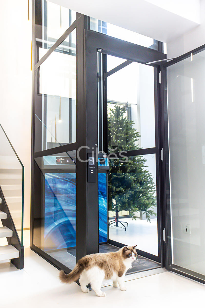 Cibes v80系列別墅電梯安裝于廣東中山