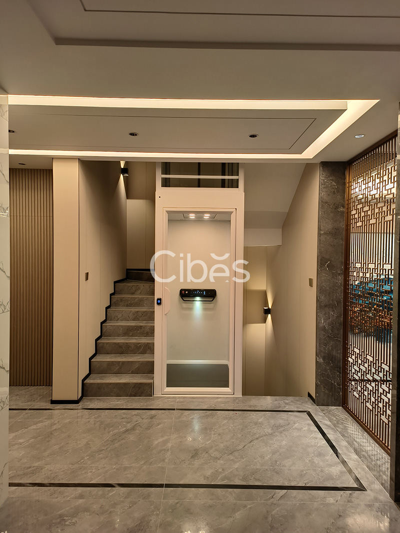 5層5站Cibes V90 雅致版家用電梯廣西桂林案例