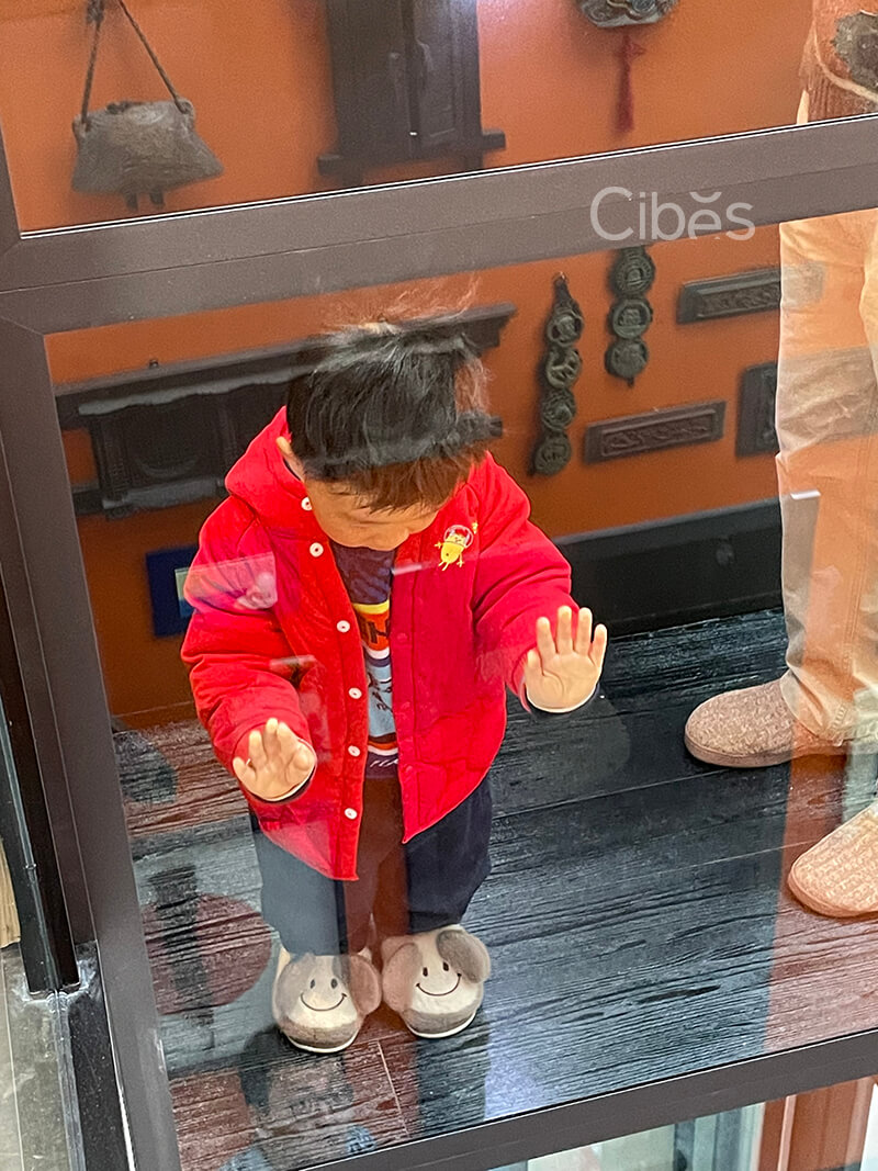 四川成都 3層3站Cibes V80 雅致版家用電梯案例