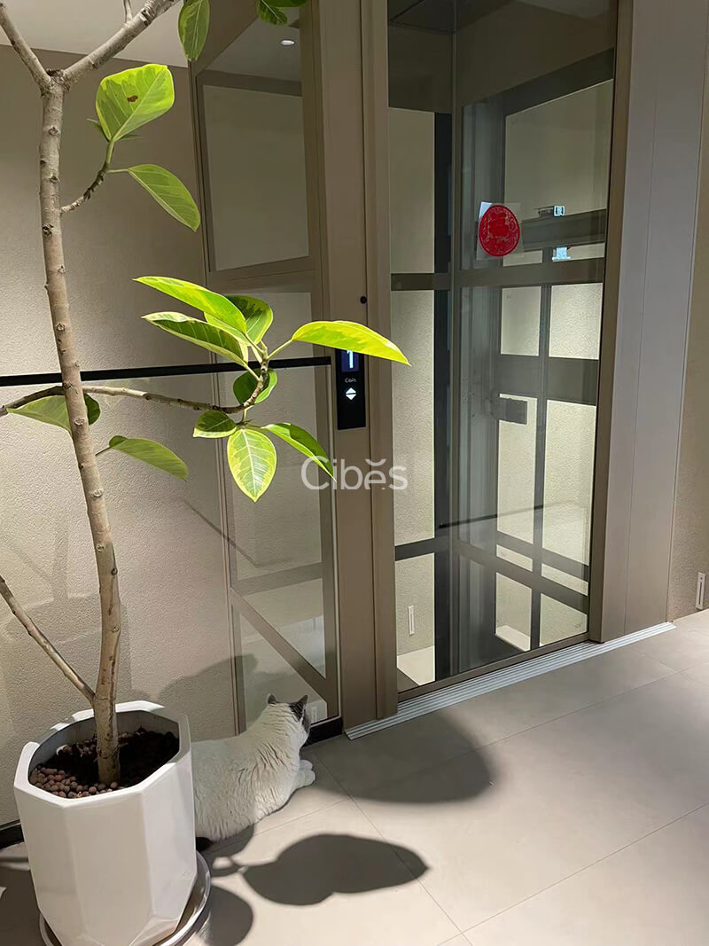 湖南衡陽家用電梯案例