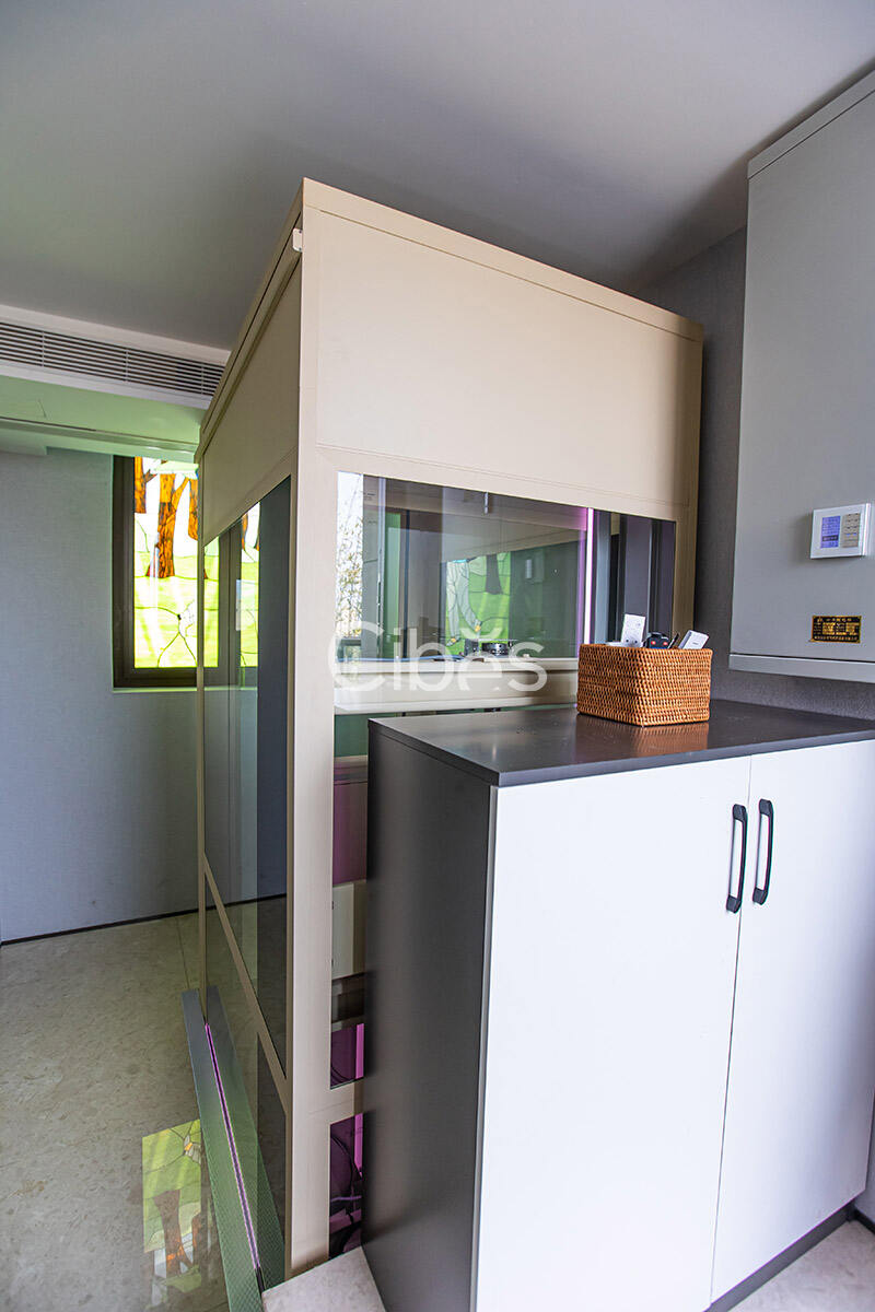 Cibes西柏思南京別墅電梯案例