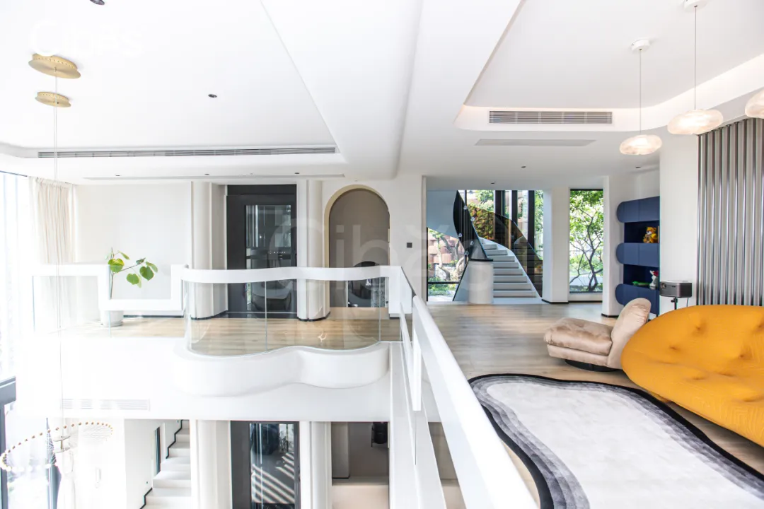 Cibes西柏思電梯案例