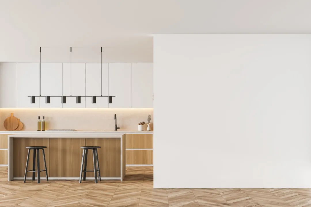 Cibes西柏思電梯案例