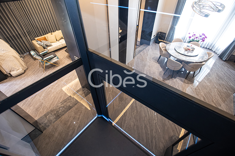 Cibes西柏思浙江溫州家用電梯案例
