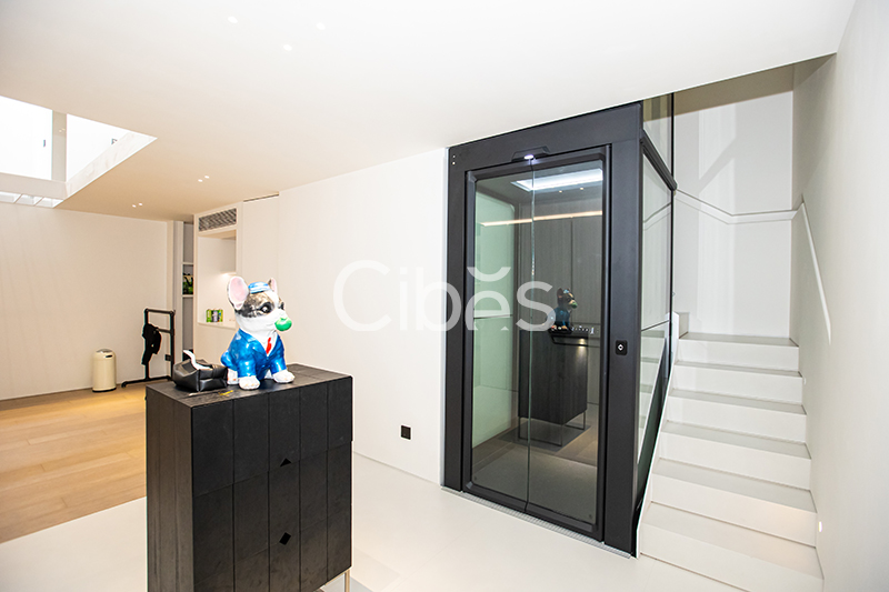 Cibes西柏思浙江溫州家用電梯案例