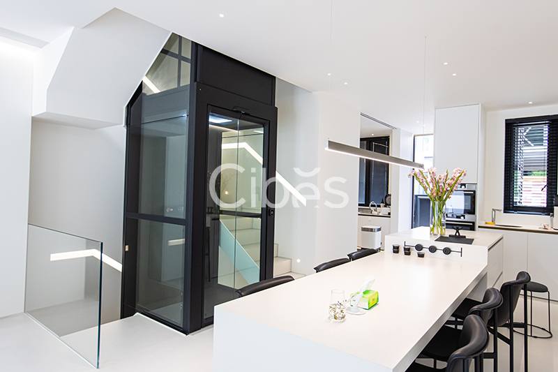 Cibes西柏思浙江溫州家用電梯案例