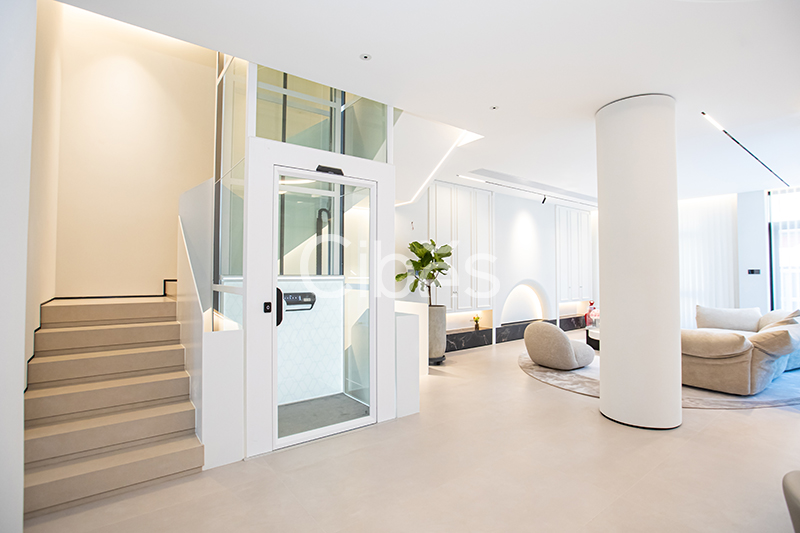 Cibes西柏思浙江臺州家用電梯案例