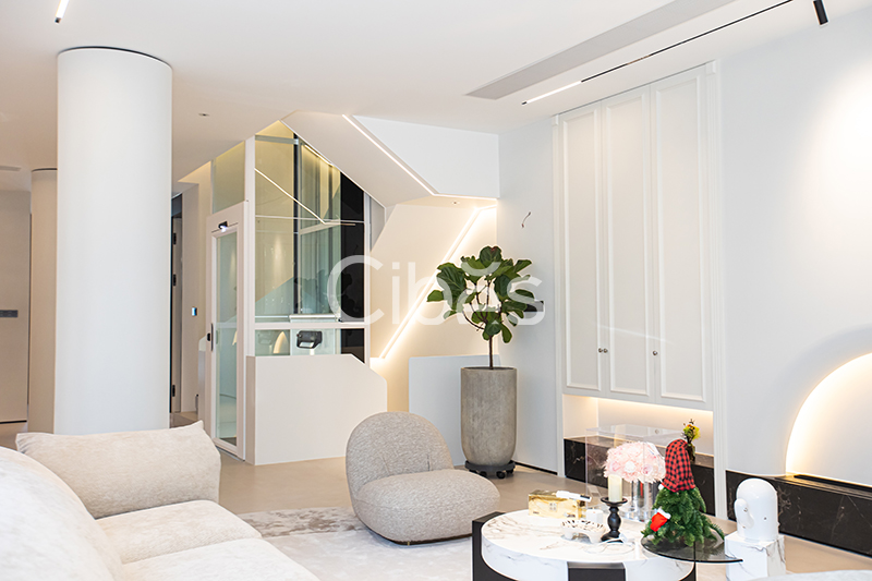 Cibes西柏思浙江臺州家用電梯案例