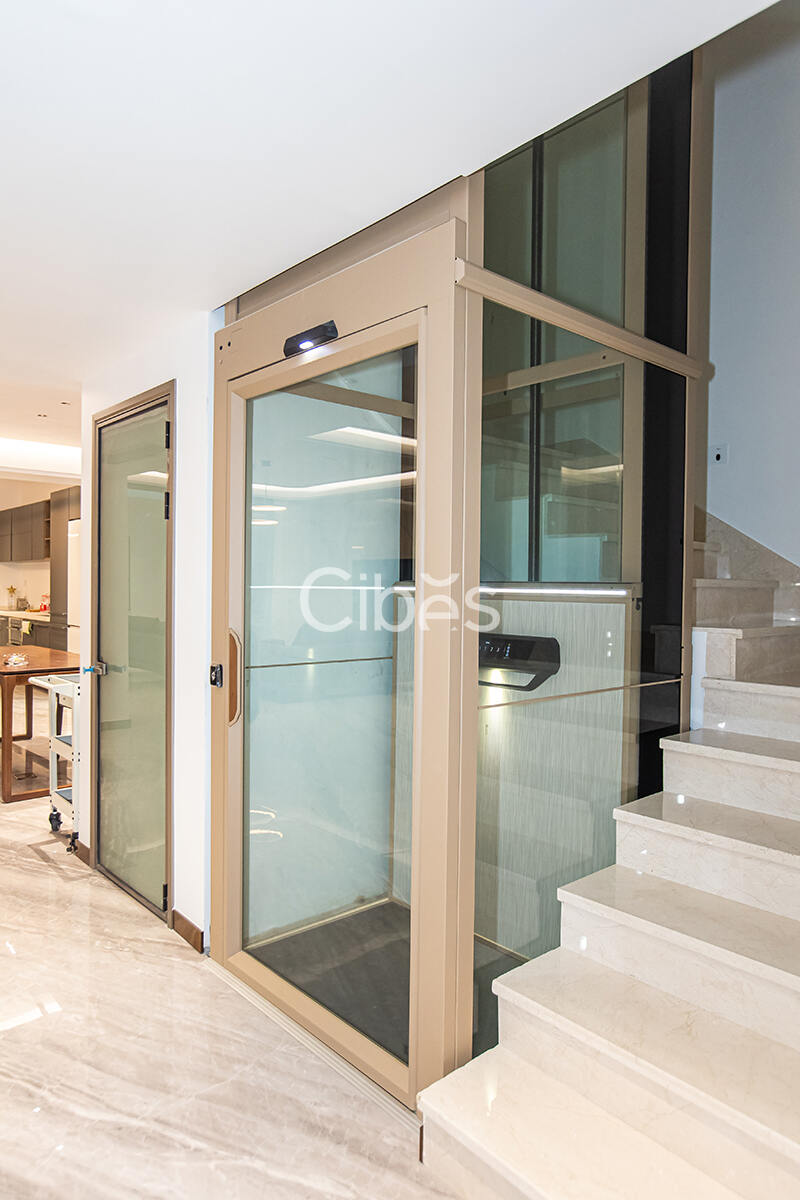 廣東珠海家用電梯案例