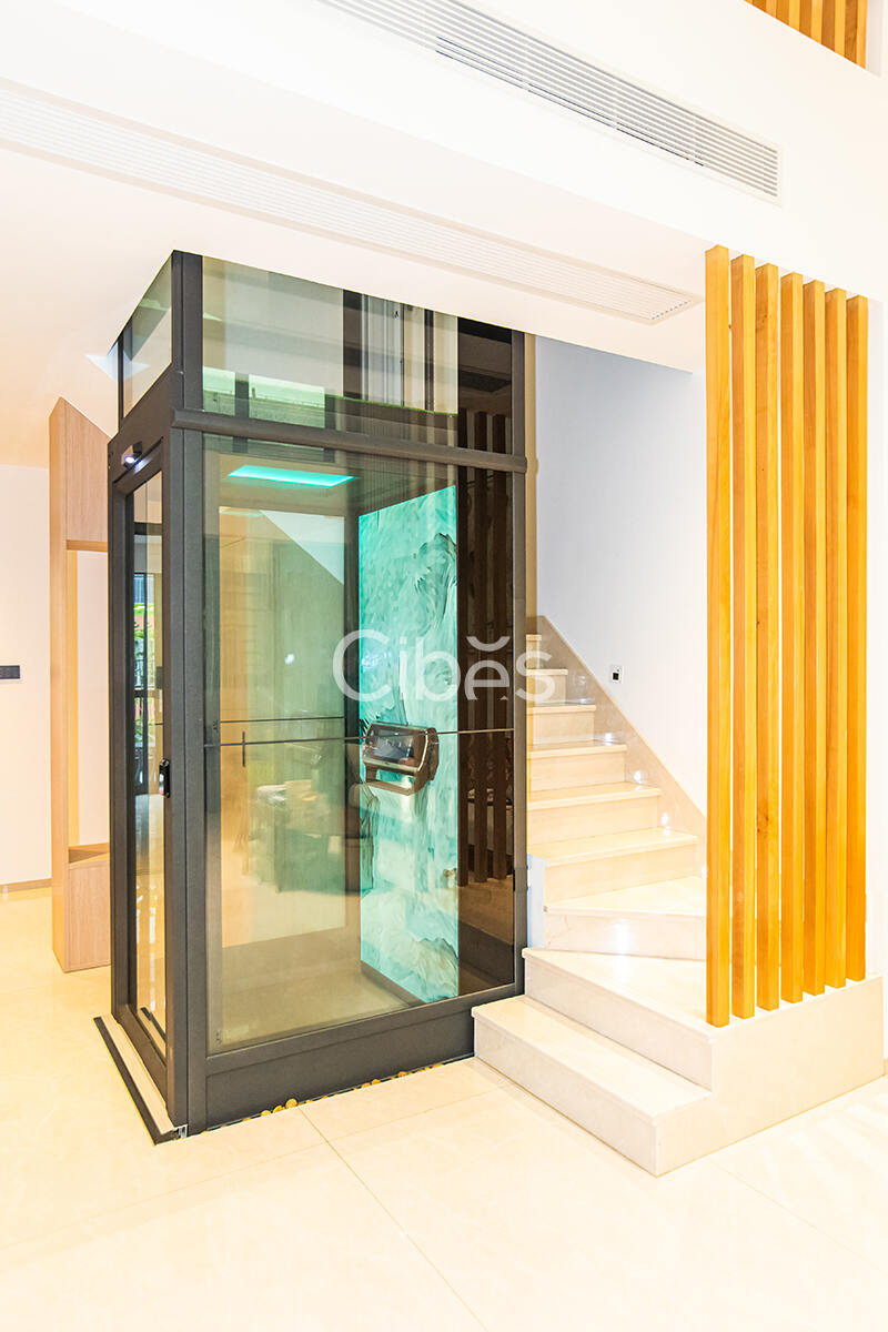 廣東珠海家用電梯案例