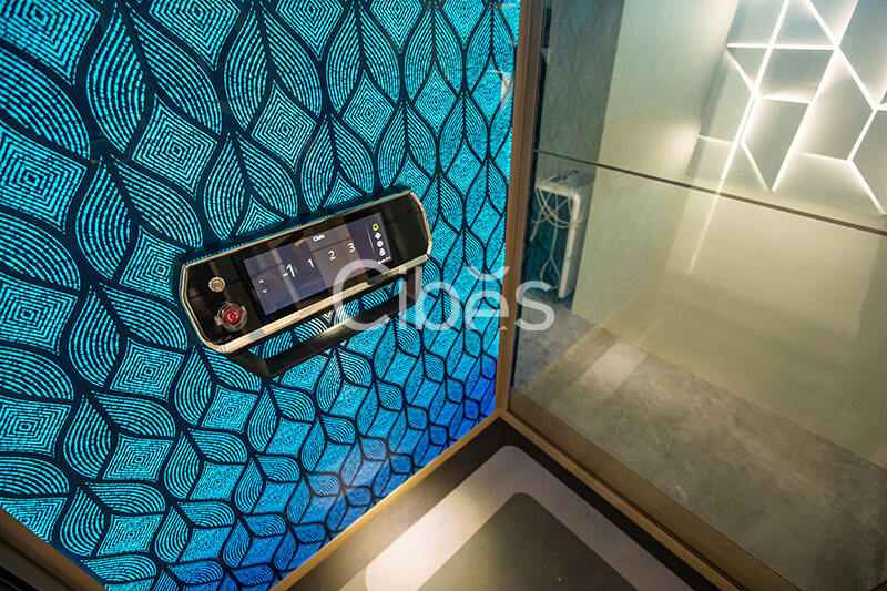 Cibes西柏思珠海別墅電梯案例