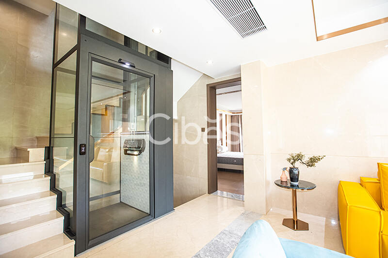 Cibes西柏思家用電梯廣東佛山案例