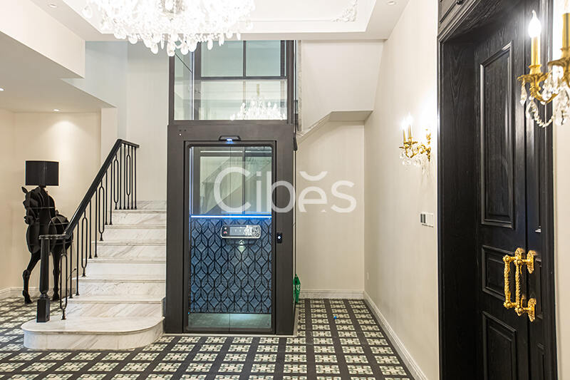 Cibes西柏思別墅電梯案例