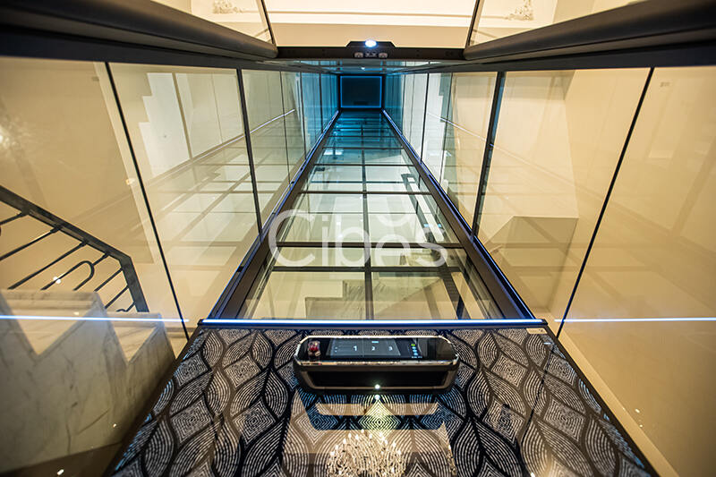 Cibes西柏思別墅電梯案例