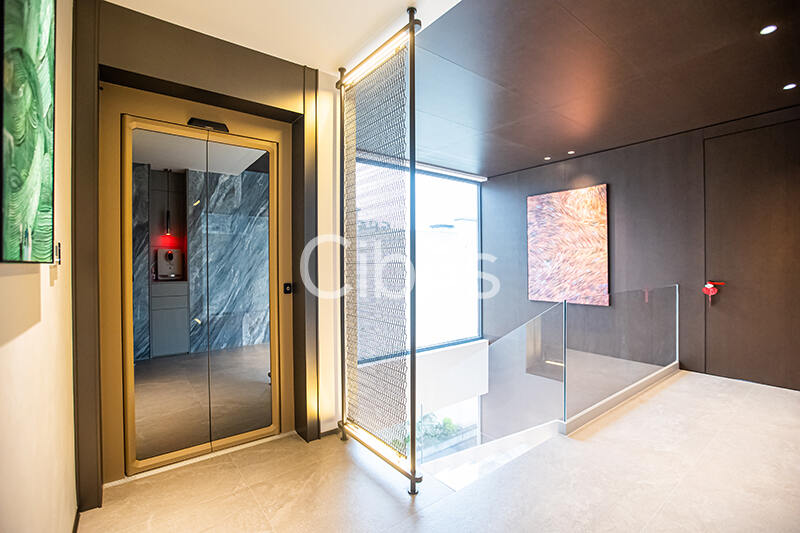 Cibes西柏思別墅電梯案例