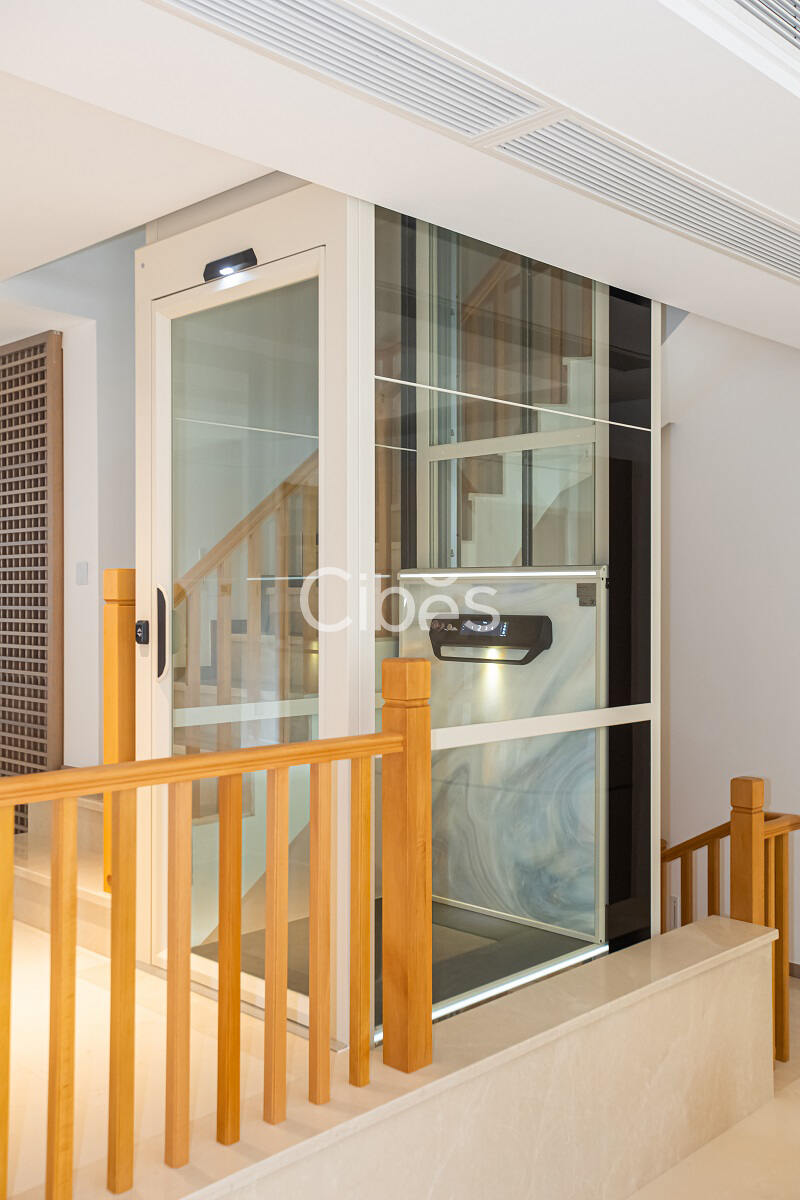 西柏思別墅電梯V80時尚版重慶案例