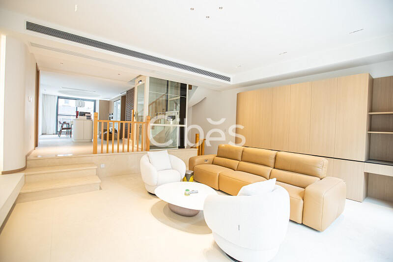 西柏思別墅電梯V80時尚版重慶案例