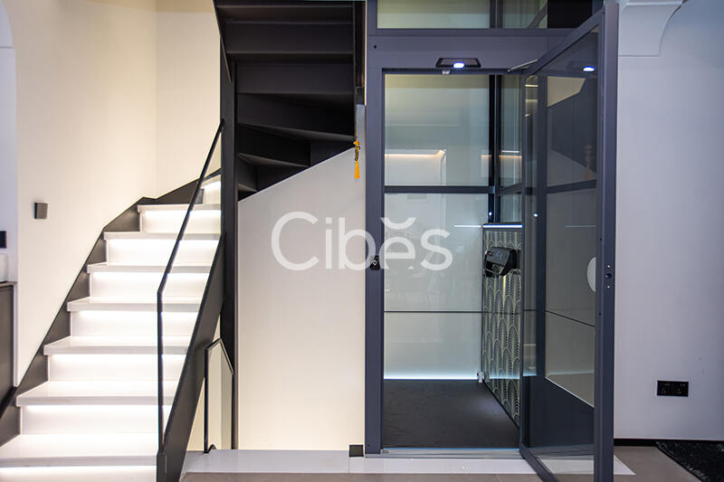 Cibes西柏思電梯案例