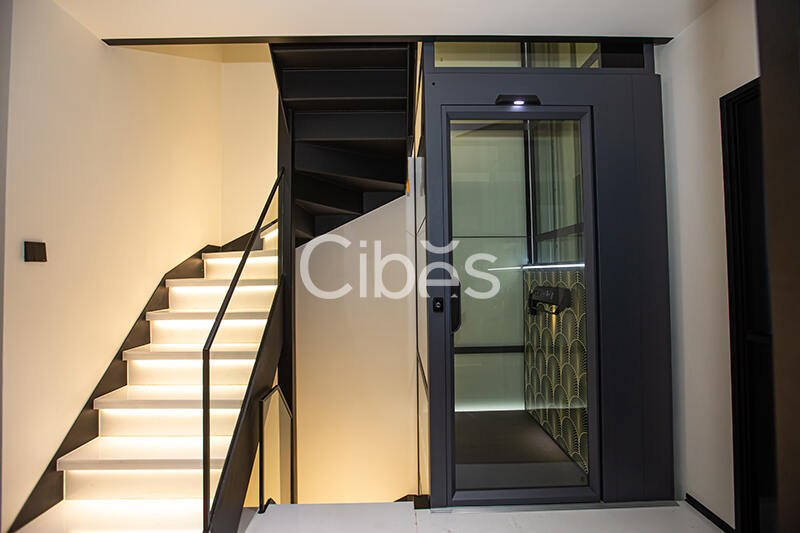 Cibes西柏思電梯案例