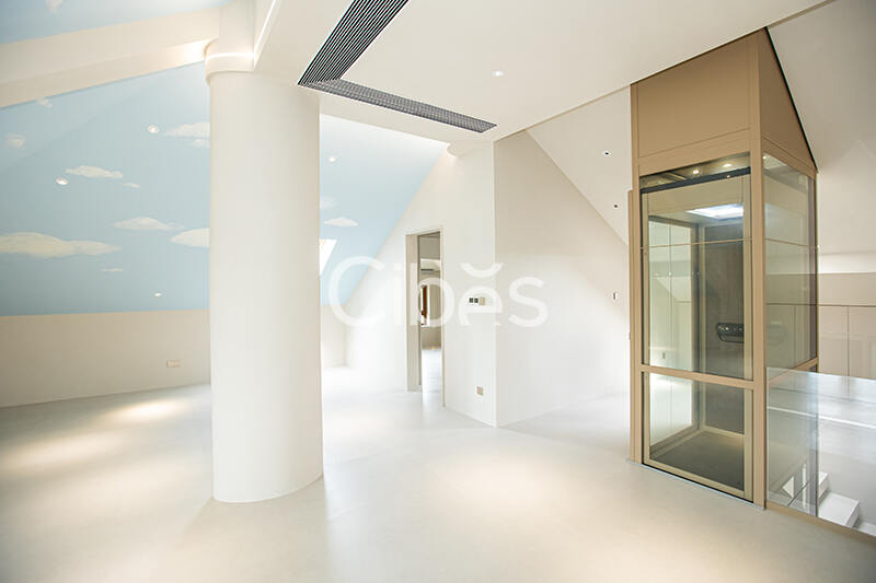 Cibes西柏思電梯案例