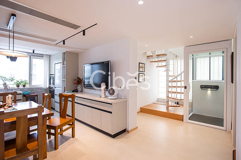 Cibes西柏思電梯案例