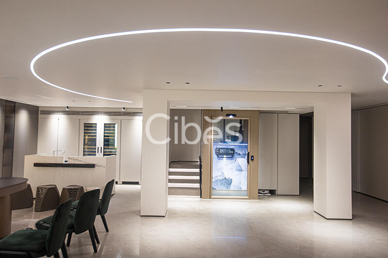 Cibes西柏思臺州家用電梯案例