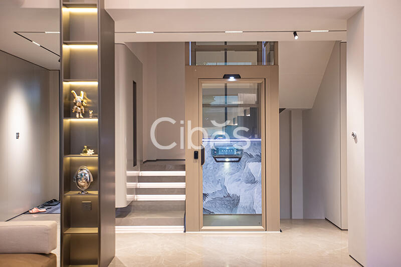 Cibes西柏思臺州家用電梯案例