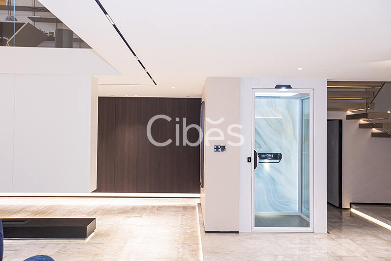 Cibes別墅電梯案例